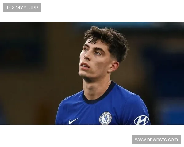 哈弗茨风格分析